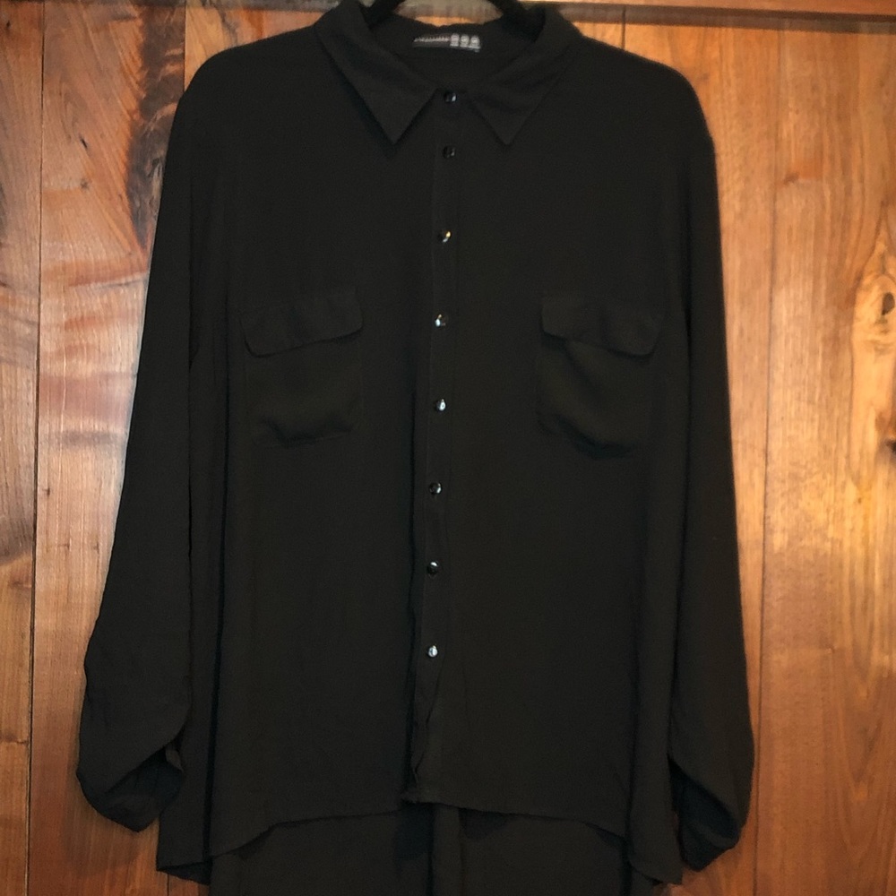 Sheer Long Sleeve Button Down - image 1